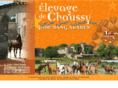 elevagedechaussy.com