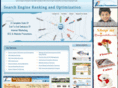 searchenginerankingandoptimization.com