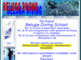 belugadiving.com