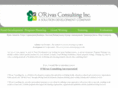 orivasconsulting.com