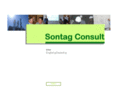 sontag-consult.com