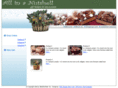 allinanutshell.com