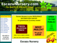 escazunursery.com