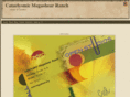 megashear.org