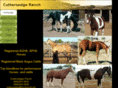cuttersedgeranch.com