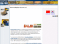 magnitude-electronics.com