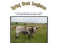 springcreeklonghorns.com