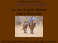 carneyquarterhorses.com