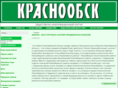 krasnoobsk.info