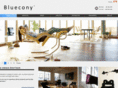 bluecony.com
