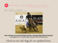 aspenmeadowsranch.com