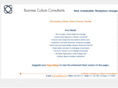 businesscultureconsultants.com
