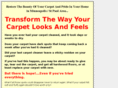 wintercarpetcare.com