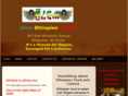 alemethiopianvillage.com
