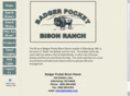 badgerpocketbison.com