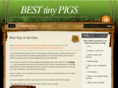 besttinypigs.com