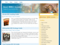 bestmmoguides.com