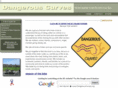 dangerouscurves.org