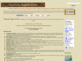 vizimag.com