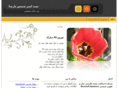 amirparsa.com