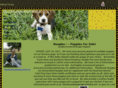 blackhawkbeagles.com