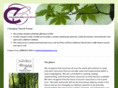 changingchurch.org