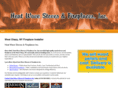 heatwavestoves.com