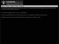 raiderparty.com