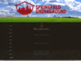 springfieldunderground.com