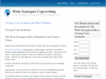 writesynergiescopywriting.com