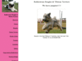 balderstonebeagles.com