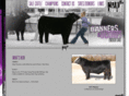 grayshowcattleinc.com