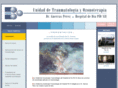 guerrasozonoterapia.com