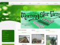 morningstarfarmoftaos.com