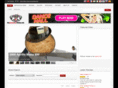 themotorcyclereview.com