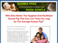 guineapigsmadesimple.com