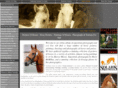horse-pictures.com