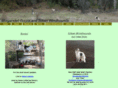 morgandellborzoi.com