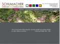 schumacher-designcon.com