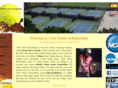 usatennisscholarships.com