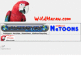 wildmacaw.com
