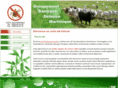gds972.com