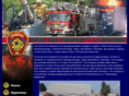 hamburgfireco.com