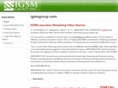 igsmgroup.com
