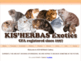 kisherbas-cattery.com