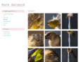 ruthgeldard.com