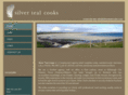 silvertealcooks.com
