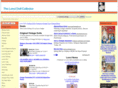 thevintagedollcollector.com