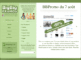 bigbigpromos.com