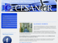 cesanor.es
